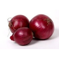 Oignons rouges BIO (au 500g)