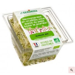 ALFALFA GERME (60G) GERMLINE