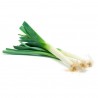Poireaux France BIO (au 500g)