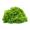 Salade Batavia verte de Chateauneuf BIO (à la pièce)