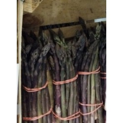 Asperges violettes  de Grasse (botte500 g environ)