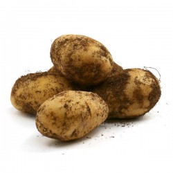 Pommes de terre  grenaille France  (au kg)