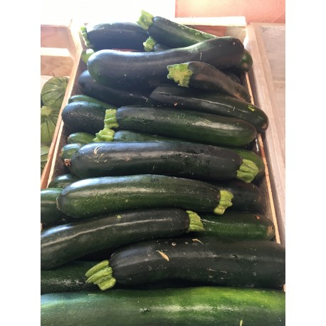Courgette verte Bio (kg)