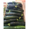 Courgette vertes Bio Chateauneuf  (au kg)