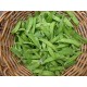 Pois mange-tout BIO Chateauneuf (au 100g)