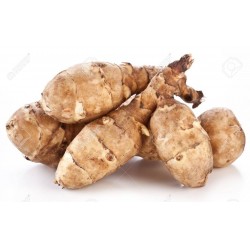 Topinambour BIO Naturdis (par 500g)