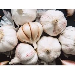 Ail France BIO (au 100g)