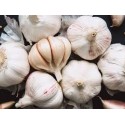 Ail France BIO (au 100g)