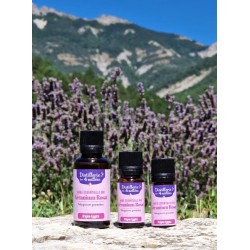 Huile essentielle de Géranium Rosat BIO 10ml