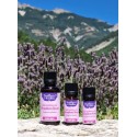 Huile essentielle de Géranium Rosat BIO 10ml