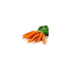 carottes fanes bio d'talie (àla botte)
