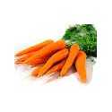 carottes fanes bio de Chateauneuf (àla botte)