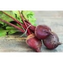 Betteraves bio en botte France