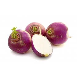 Navets violets AR (par 500g)