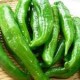 Poivrons verts salade Auribeau AR (au 500 g)