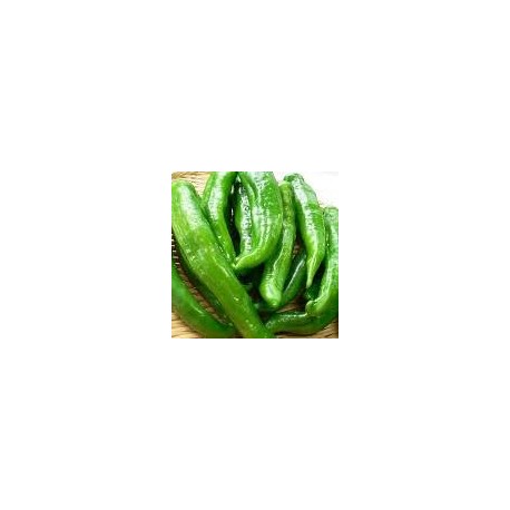 Poivrons verts salade Auribeau AR (au 500 g)