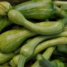 Courgettes longues de Nice Bio Chateauneuf  (au 500g)