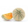 Melon charentais France BIO ( à la pièce)