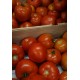 Tomates rondes BIO au kg