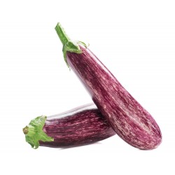 Aubergines Graffiti Tanneron AR (500g)