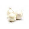 Oignons blancs frais BIO Chateauneuf  (au 500g)