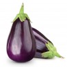 Aubergines occitanie BIO  (au kg)