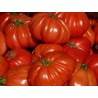 Tomates cotelées BIO Chateauneuf (au kg)