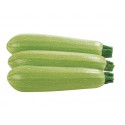Courgettes claires- BIO- La Roquette sur Siagne (au kg)