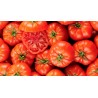 Tomates Coeur de Boeuf - BIO- La Roquette sur Siagne