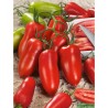 Tomates Cornues  BIO- La Roquette sur Siagne