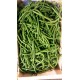 Haricots verts 