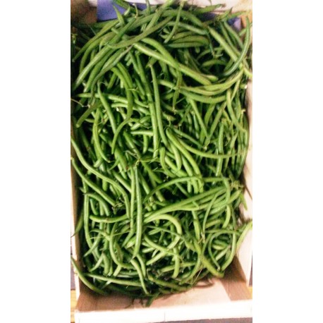 Haricots verts 