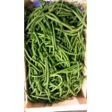 Haricots verts Bio Chateauneuf (au 100g)