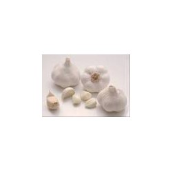 Ail Blanc BIO 100g