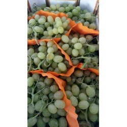Raisin Blanc Piémont BIO Naturdis au 500 g