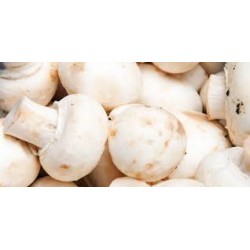 Champignons de Paris (au 100g)
