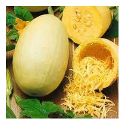 Courge spaghetti BIO Chateauneuf (à la pièce prix au kilo)