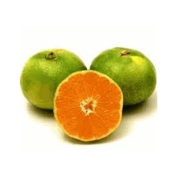 Mandarines satsuma bio (au kg)