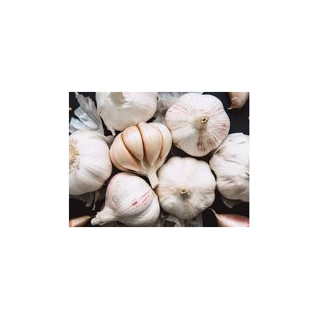 Ail France BIO (au 100g)