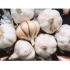 Ail France BIO (au 100g)