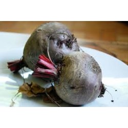 Betteraves  rouges crues BIO (au 500g)