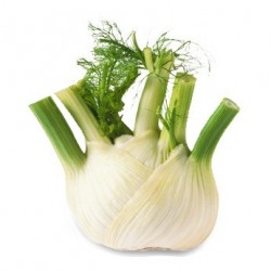 Fenouil BIO (au500g)