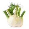 Fenouil BIO (au500g)