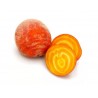 Betteraves  jaunes crues BIO (au 500g)