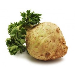 Céleri rave de Julien ROSTAN (au kg)