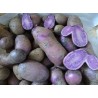 Pommes de terre bleues France  (au kg)