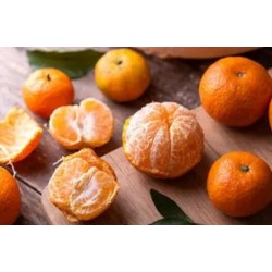 Clémentines Azahar esp