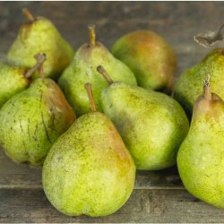 Poires Williams rouges (au Kg)