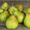 Poires Williams vertes Fr (au Kg)