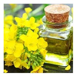 HUILE DE CAMELINE BIO 250ML.HAUTES ALPES